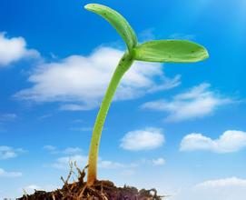 讓你縱橫職場的15種技能
