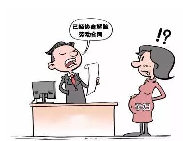 高院：懷孕并非女職工的免責(zé)金牌